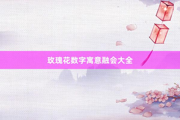 玫瑰花数字寓意融会大全